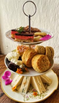 Afternoon Tea