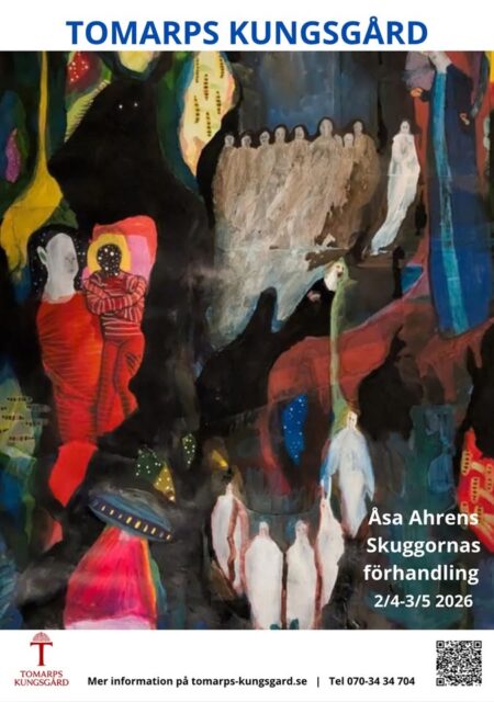 ”Skuggornas förhandling” – Åsa Ahrens