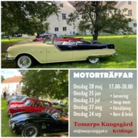Motorträff