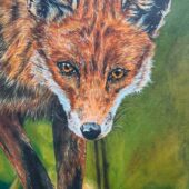 Emma Bodén Flensburg – ”Flora  och Fauna”