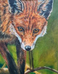 Emma Bodén Flensburg – ”Flora  och Fauna”